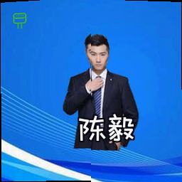 陈毅